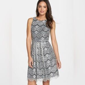Eliza J Lace Fit and Flair Dress 10